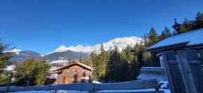 Schneealm by Alpenidyll Apartments